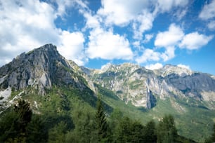 a mountain range with trees and clouds in the background