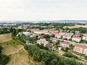 an aerial view of a small town surrounded by trees