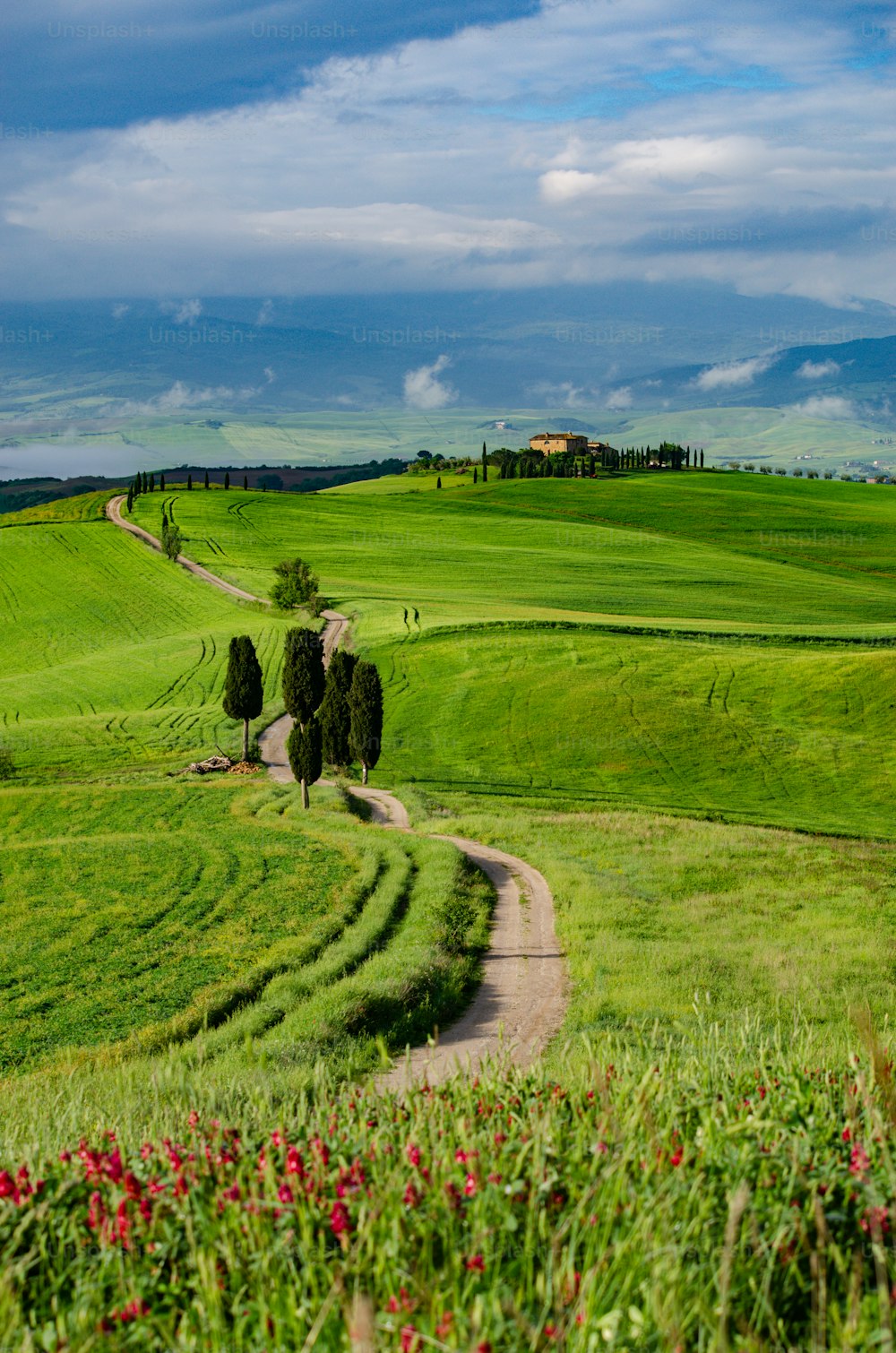 a lush green field with a dirt road going through it