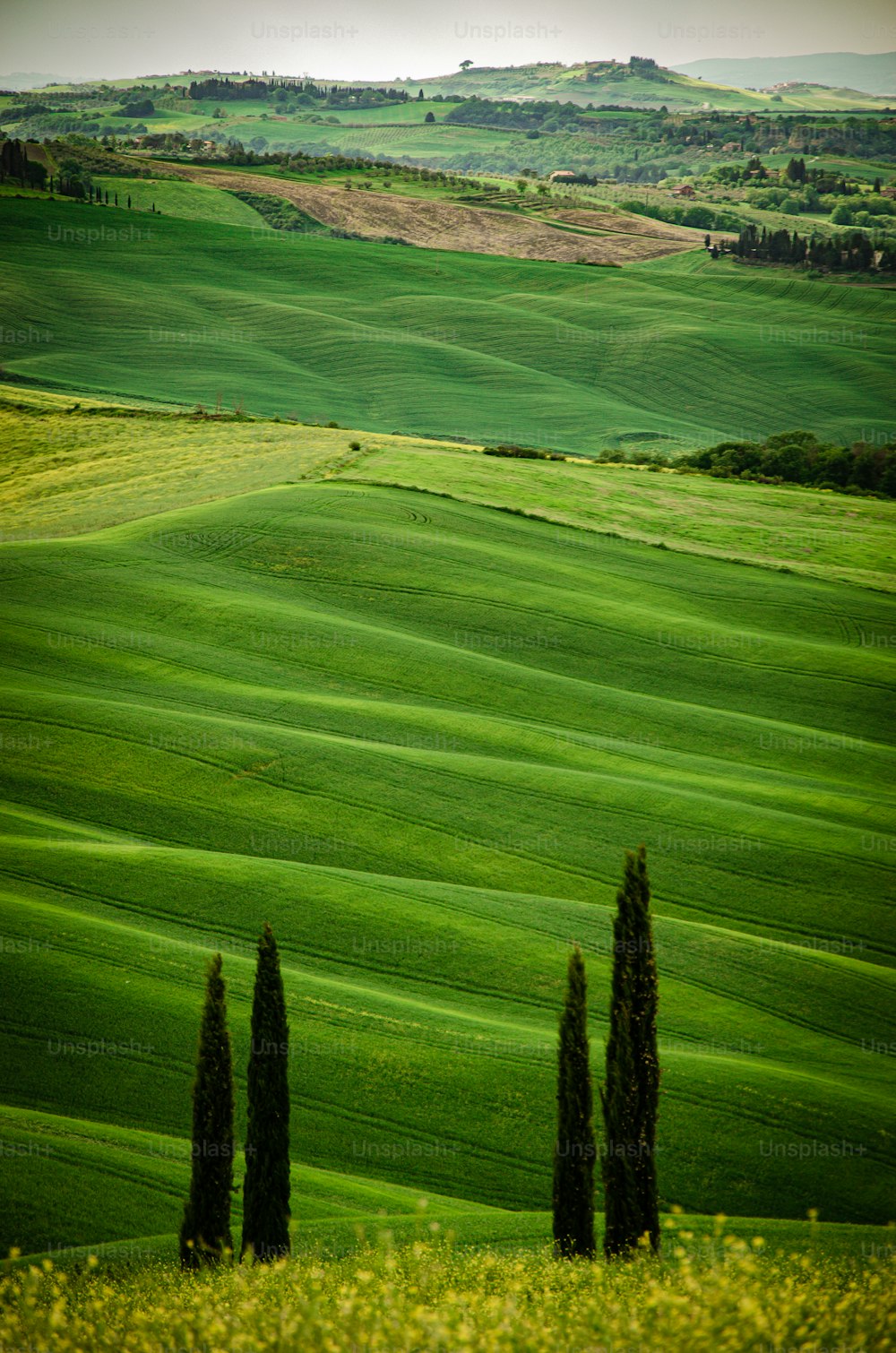 a green field with trees and rolling hills in the background