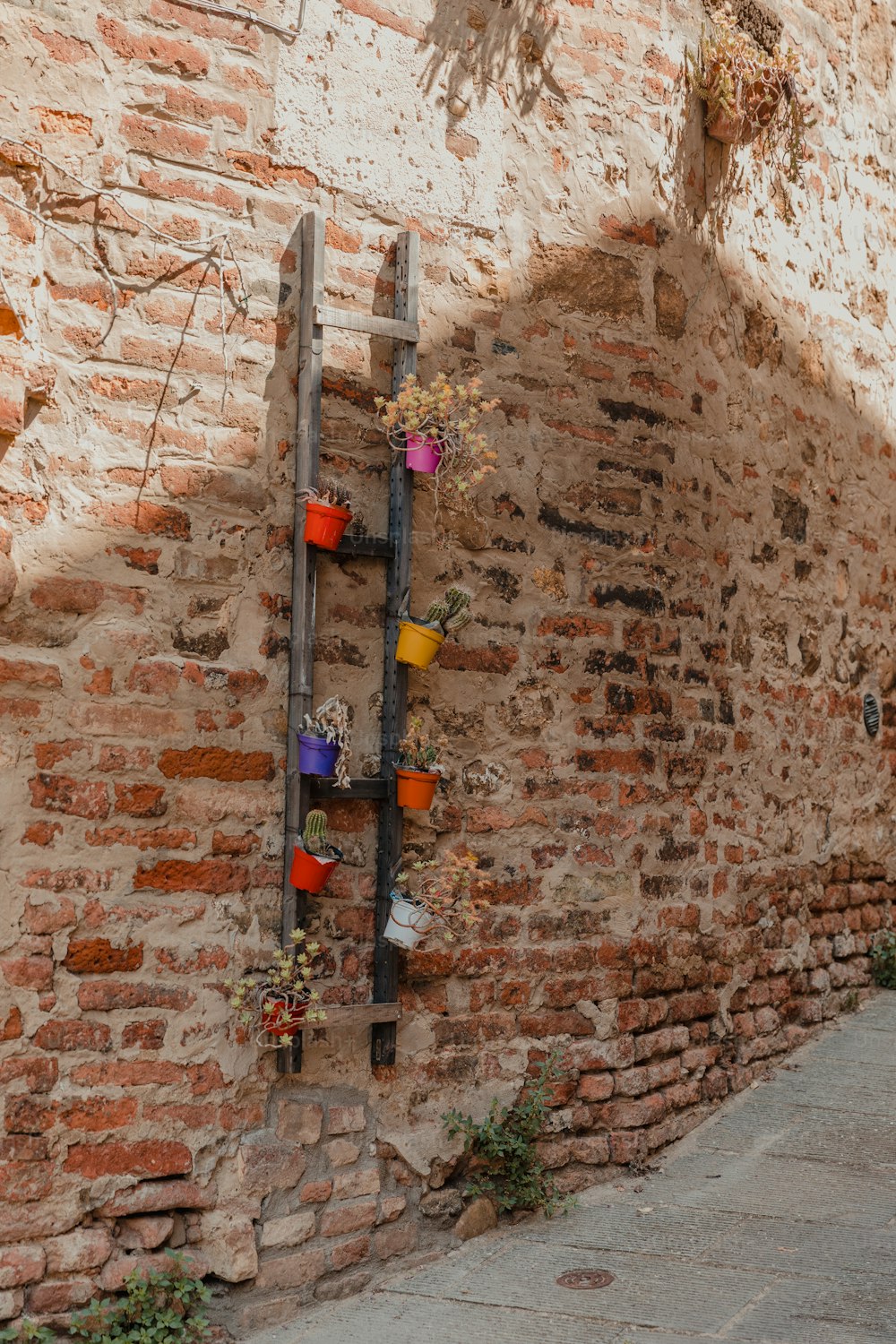 a brick wall with a ladder holding potted plants