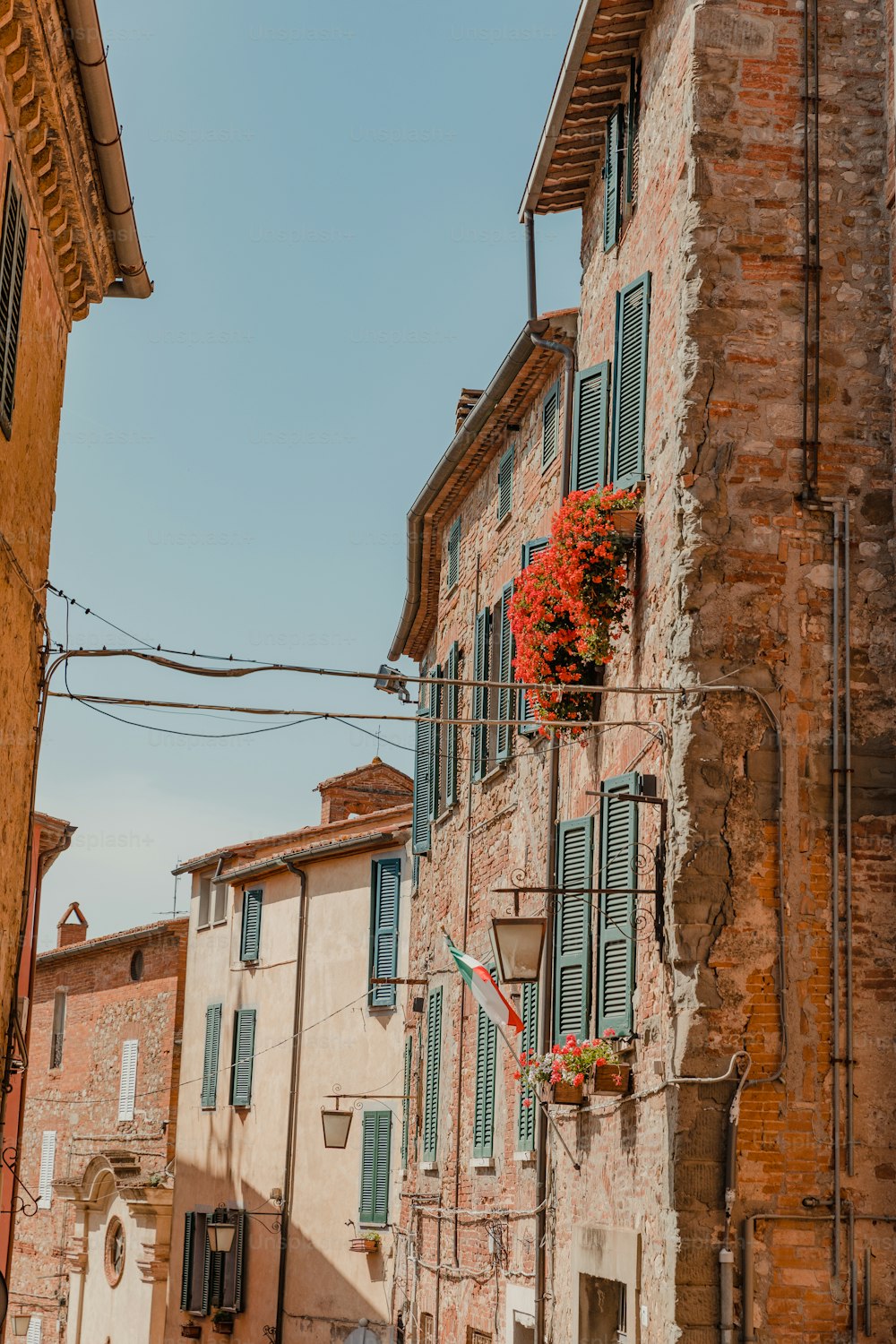 a red flower hanging from a window of a building