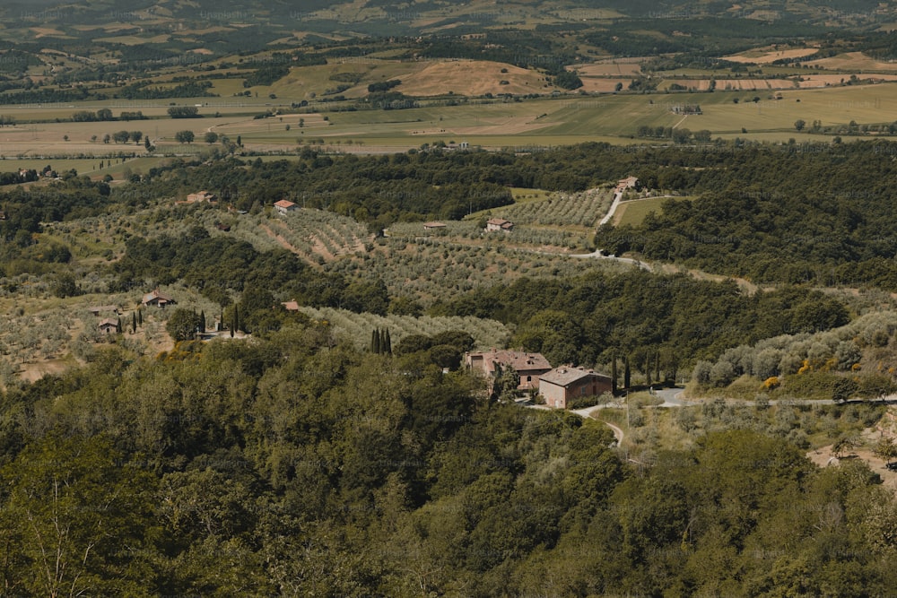 an aerial view of a lush green hillside