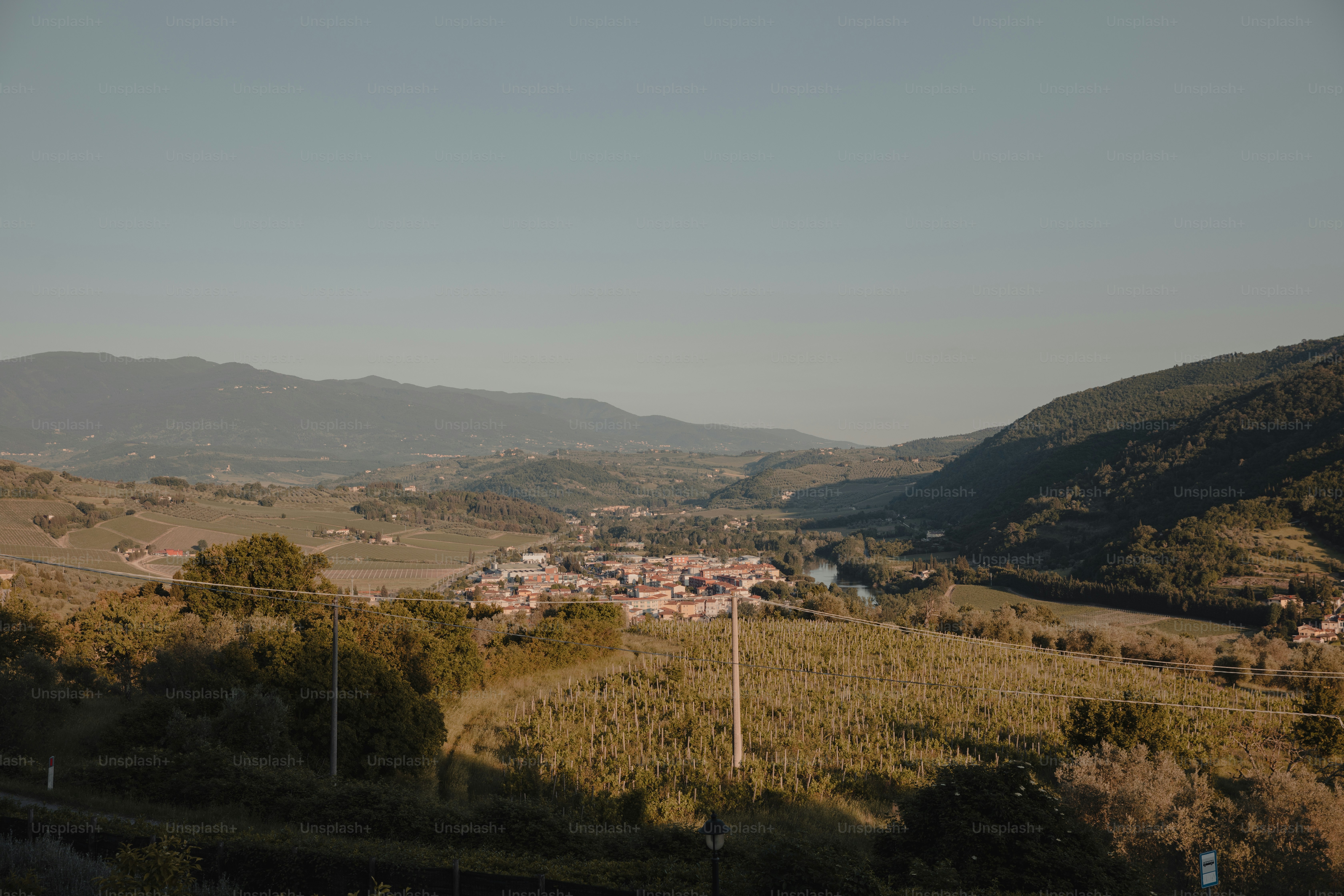 premium_photo-1676240734590-1a38c51cee91?ixid=M3wxMjA3fDB8MXxzZWFyY2h8NHx8JUVEJTg2JUEwJUVEJTg2JUEwJUVCJUFBJUE4JUVCJUExJTlDfGVufDB8fHx8MTc0MjkwNTY5M3ww\u0026ixlib=rb-4.0.3