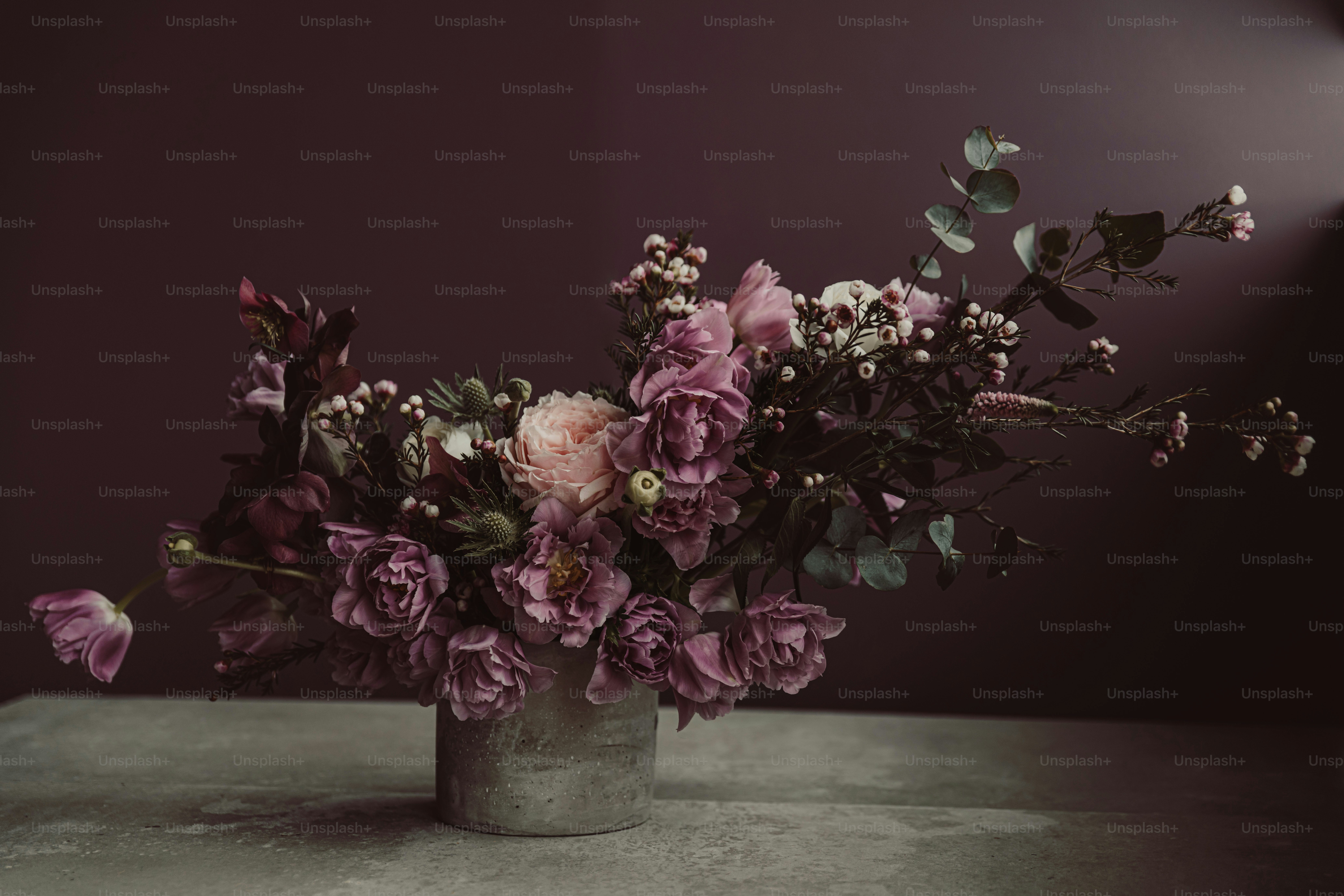 45,628+ Dark Floral Pictures | Download Free Images on Unsplash