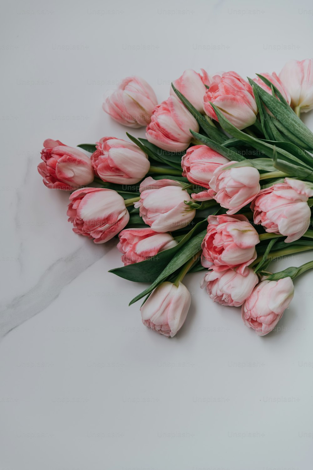 a bunch of pink tulips on a white surface