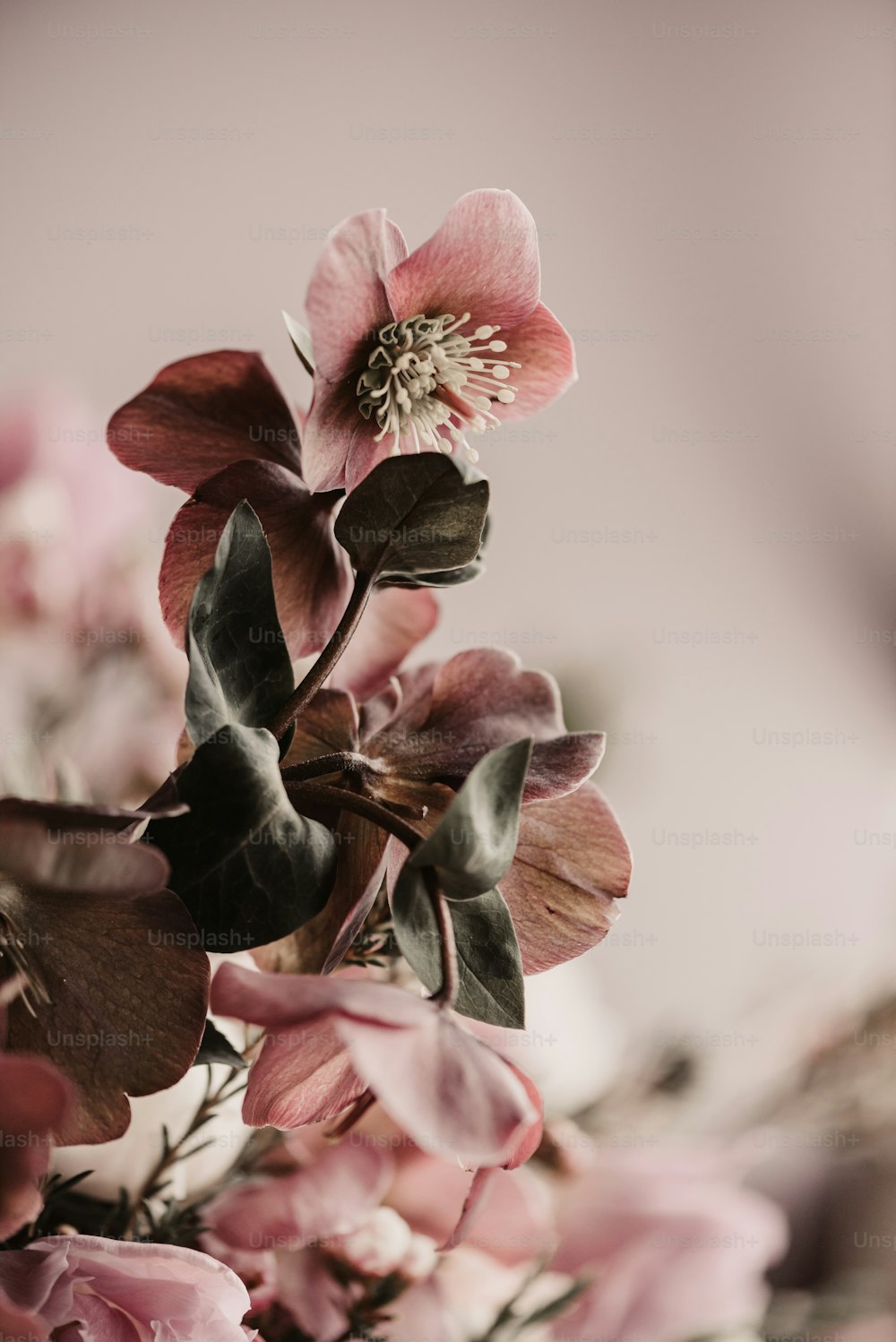 Un ramo de flores que están sobre una mesa