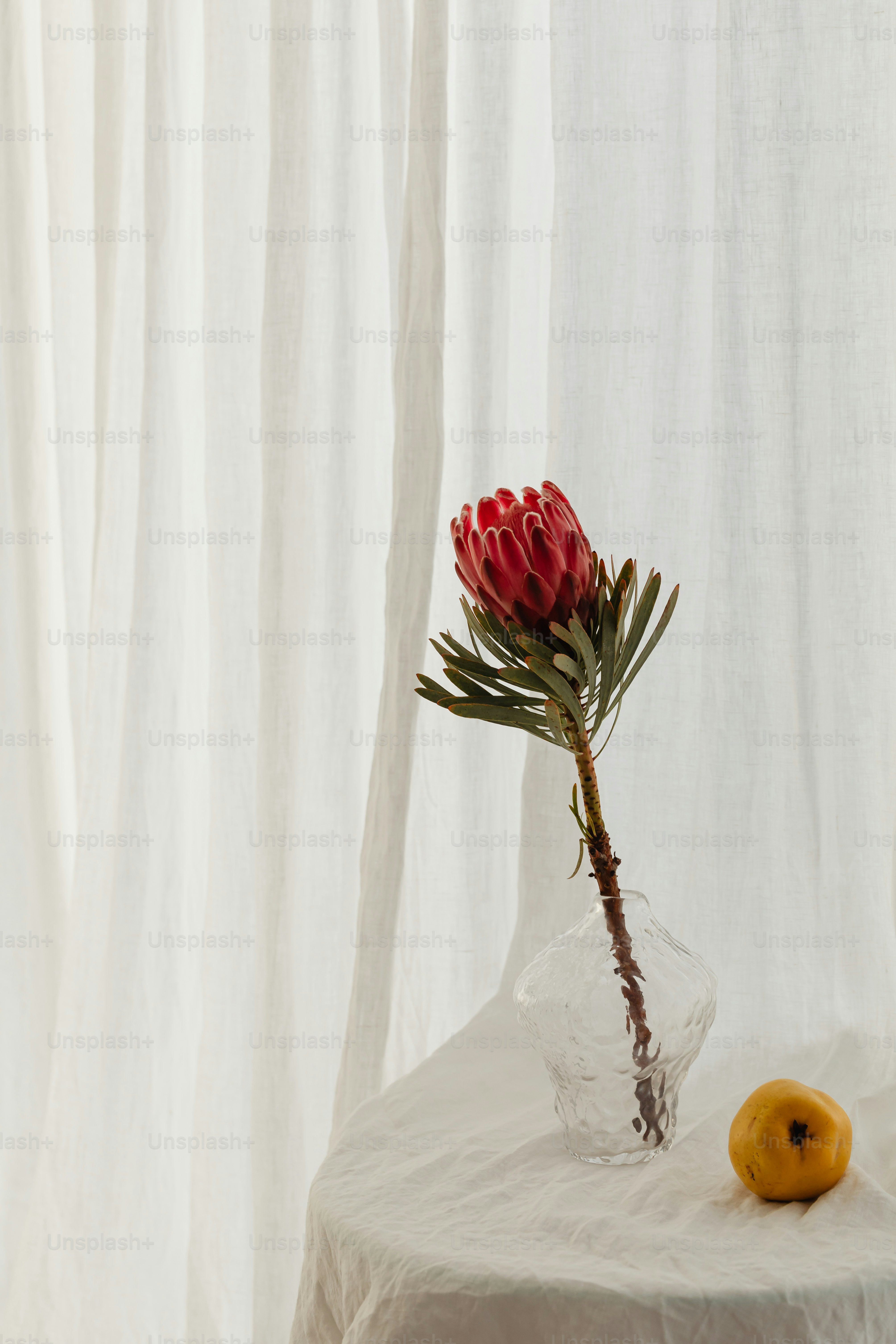 Una flor en un jarrón sobre una mesa