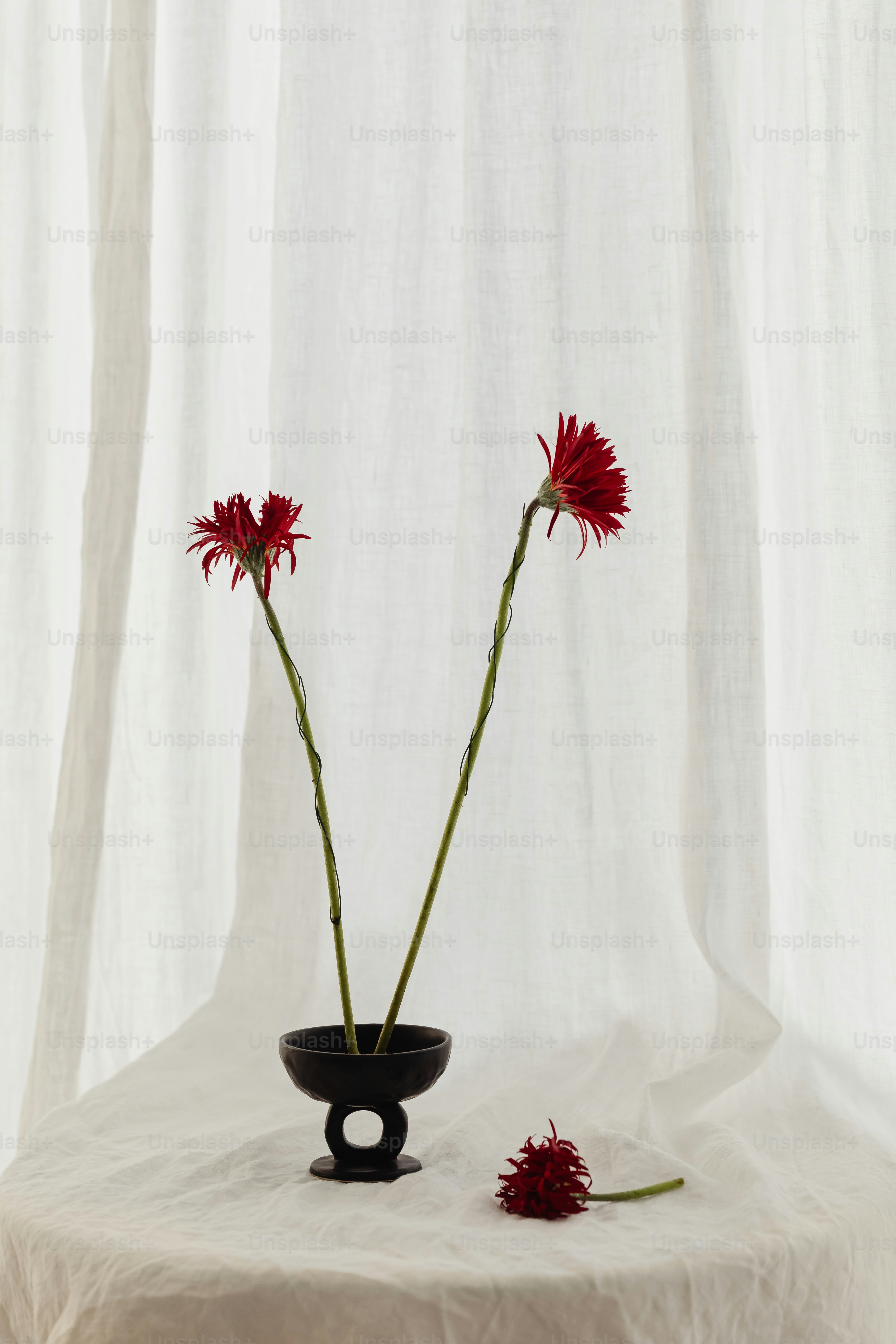 two red flowers in a black vase on a table