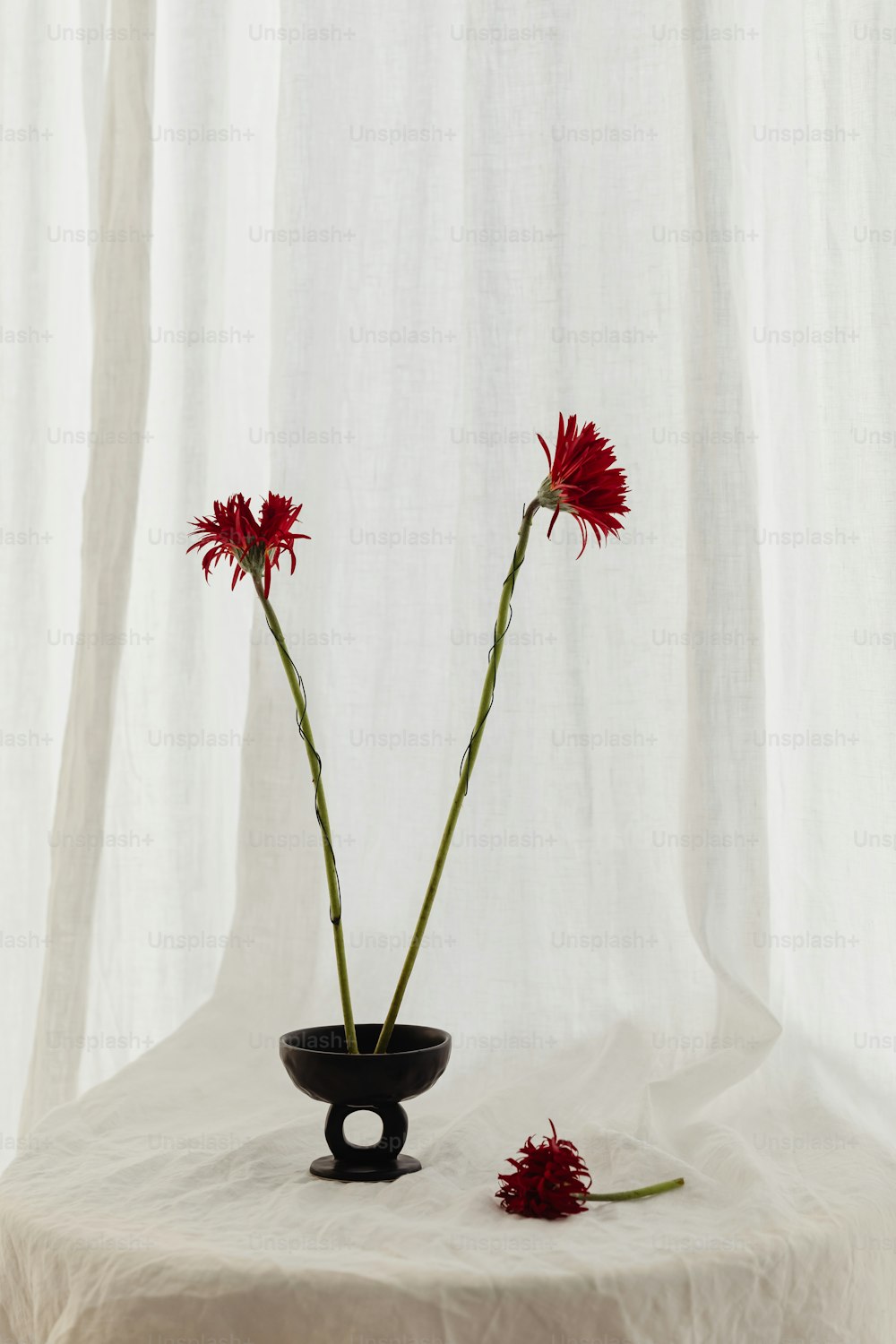 two red flowers in a black vase on a table