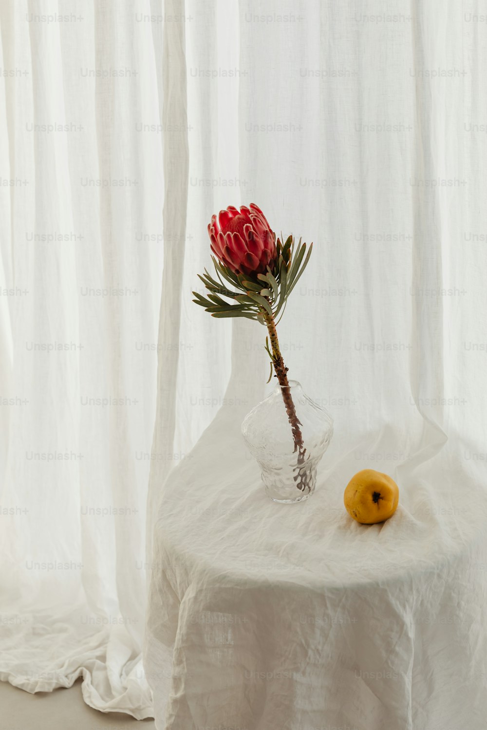 a flower in a vase sitting on a table