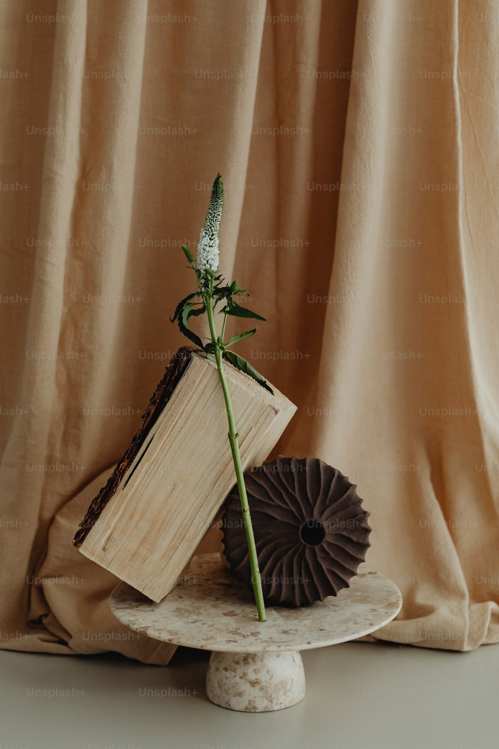 책 위에 앉아있는 꽃