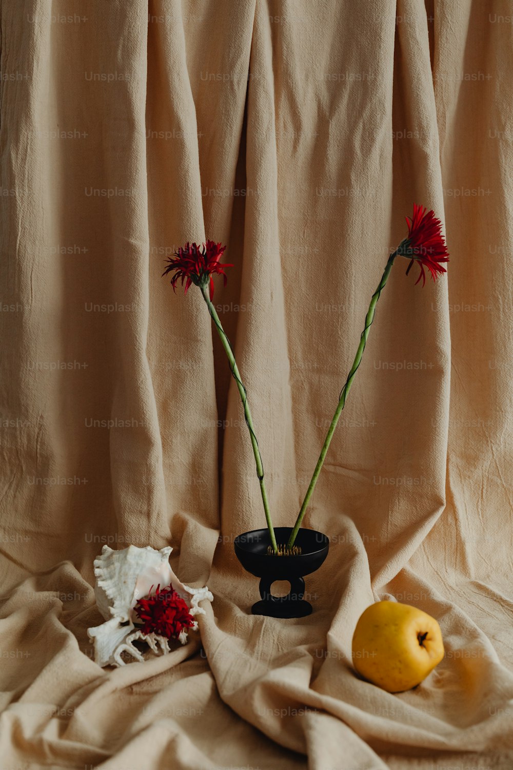 two flowers in a black vase next to a lemon