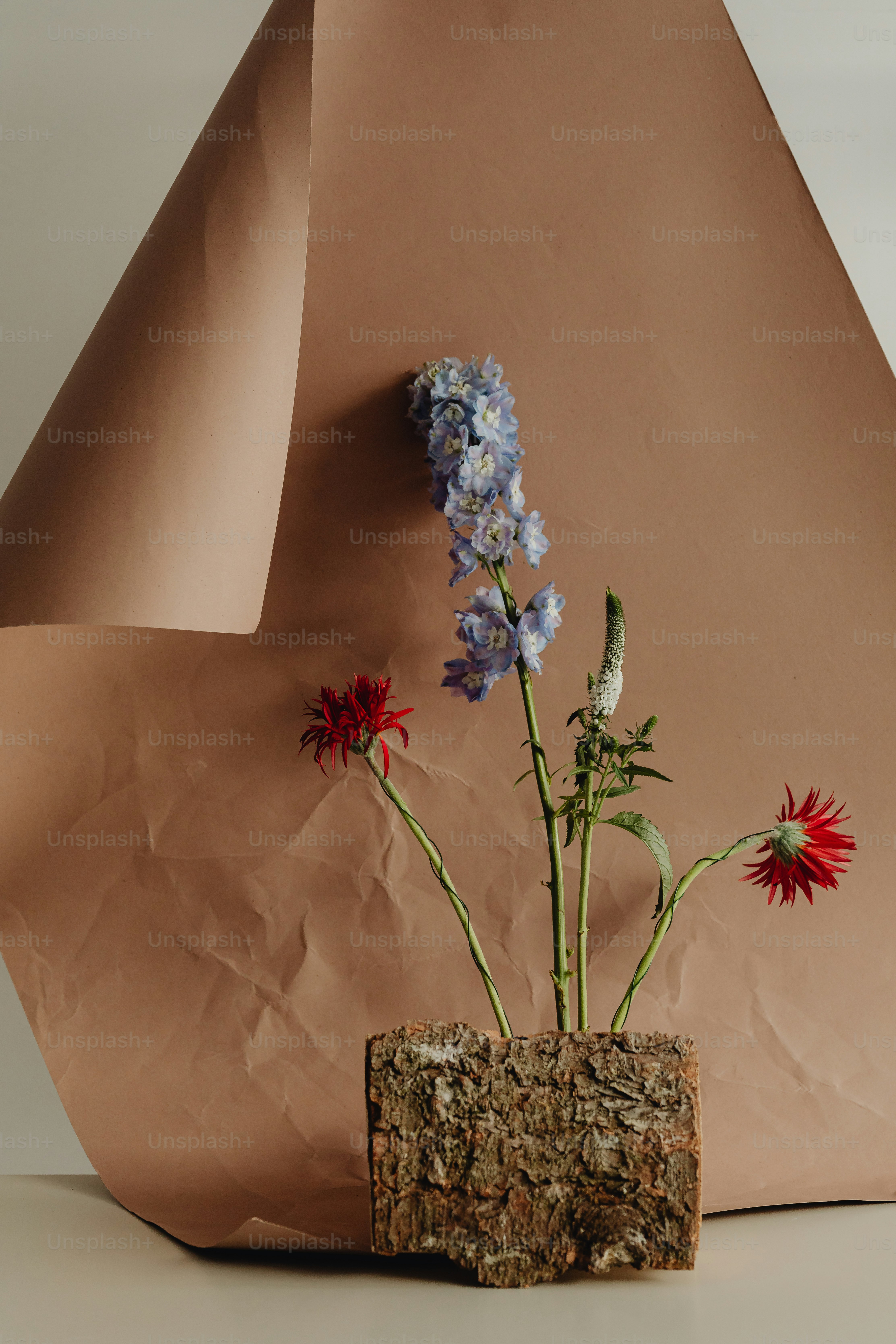 A vase with flowers in it sitting on a table photo – Wallpaper Image on ...