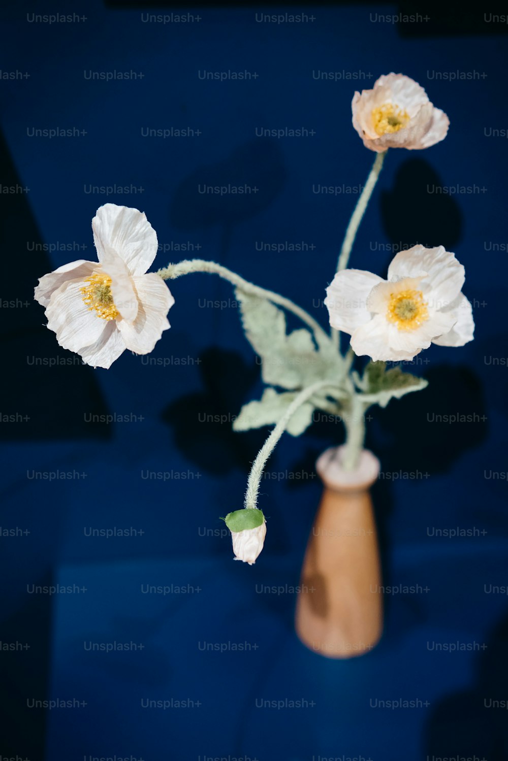 un vaso con tre fiori bianchi
