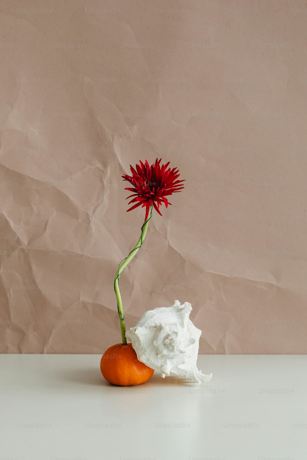une fleur dans un vase avec un morceau de tissu à côté