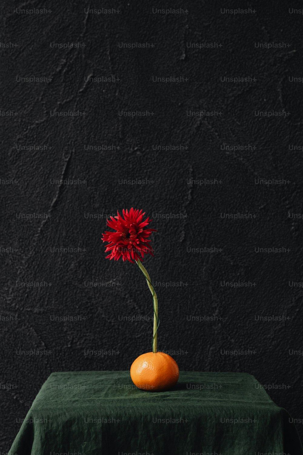 a single flower in a vase on a table