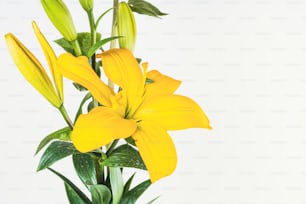 a vase filled with yellow flowers on top of a table