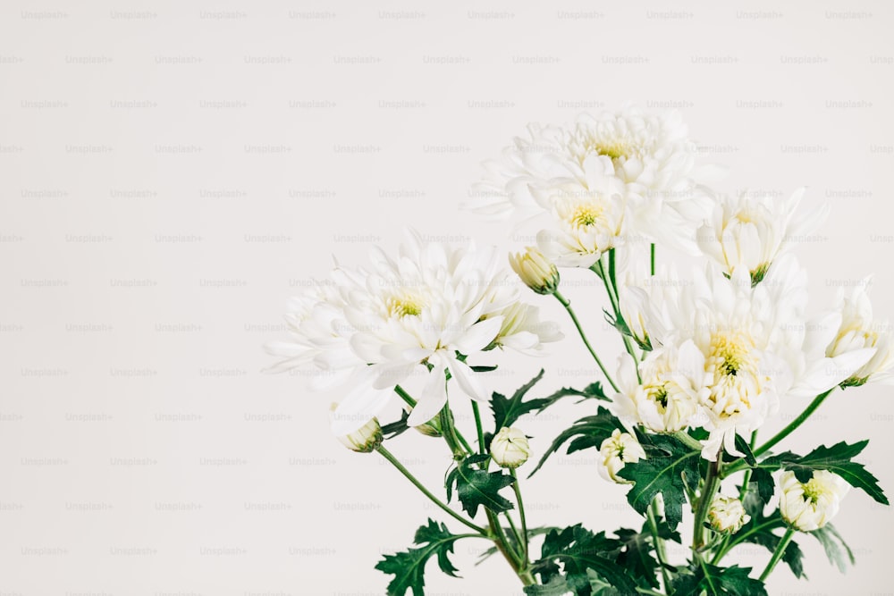 Un jarrón lleno de flores blancas encima de una mesa