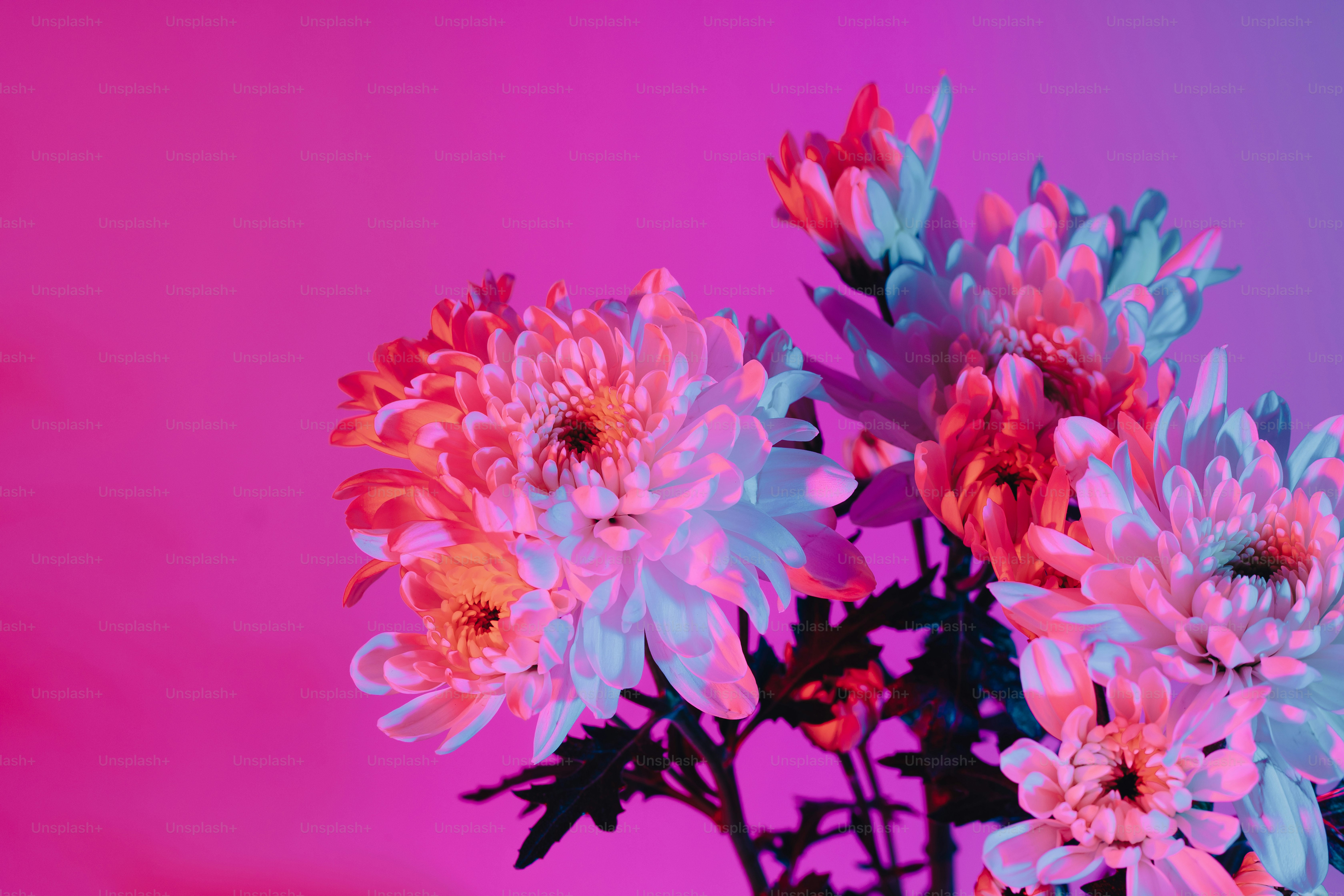 a vase filled with pink and blue flowers