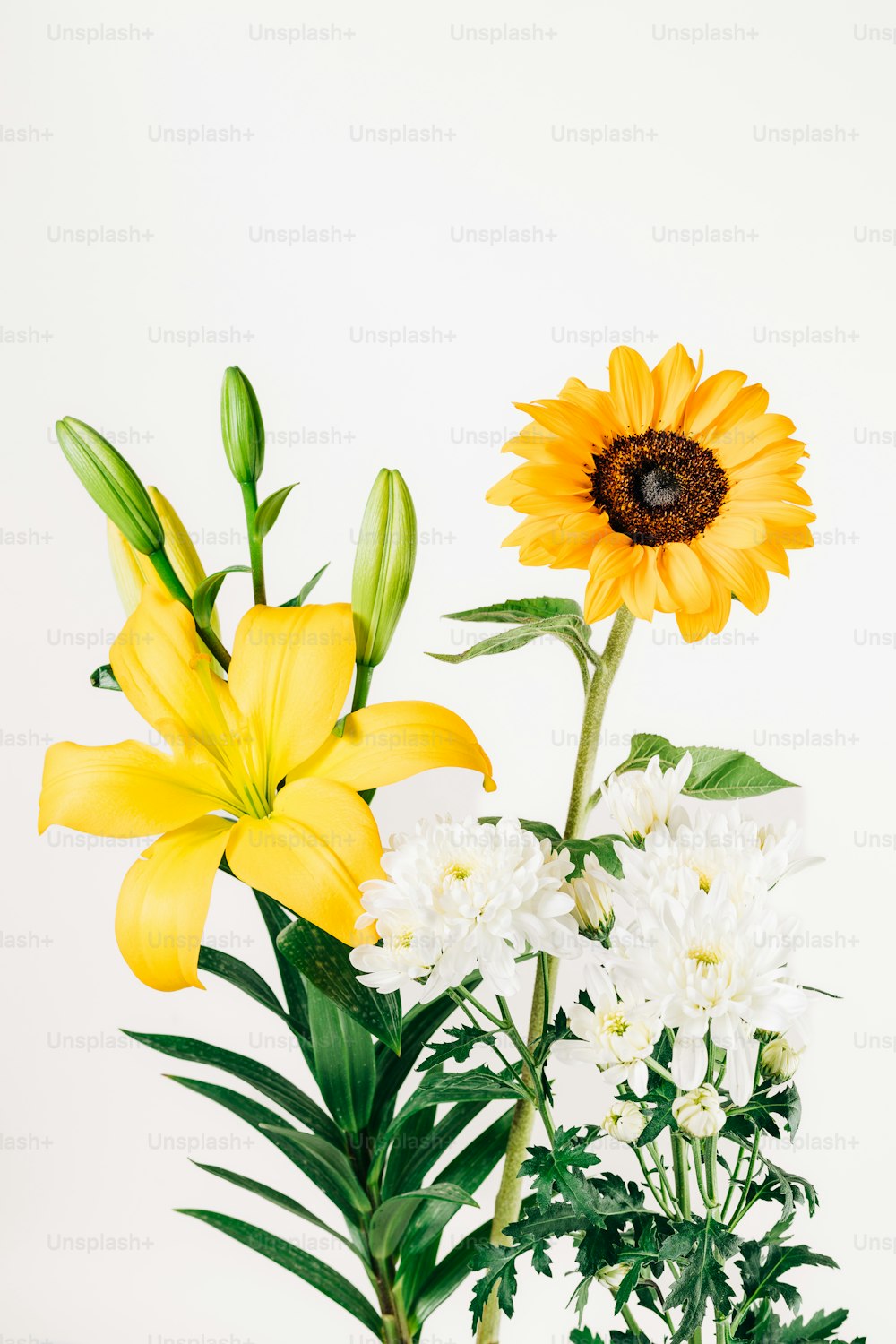 흰색과 노란색 꽃으로 가득 찬 꽃병