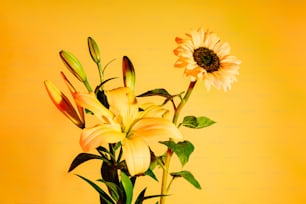 a vase filled with yellow flowers on top of a table