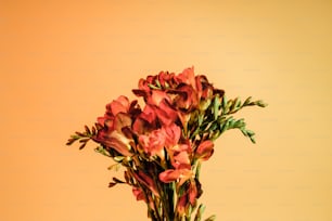 eine Vase gefüllt mit roten Blumen auf einem Tisch