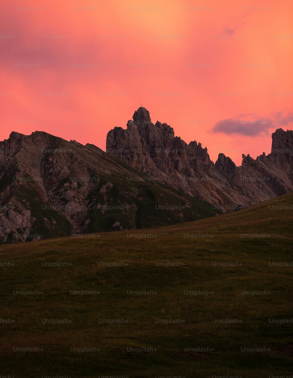 a grassy field with a mountain in the background