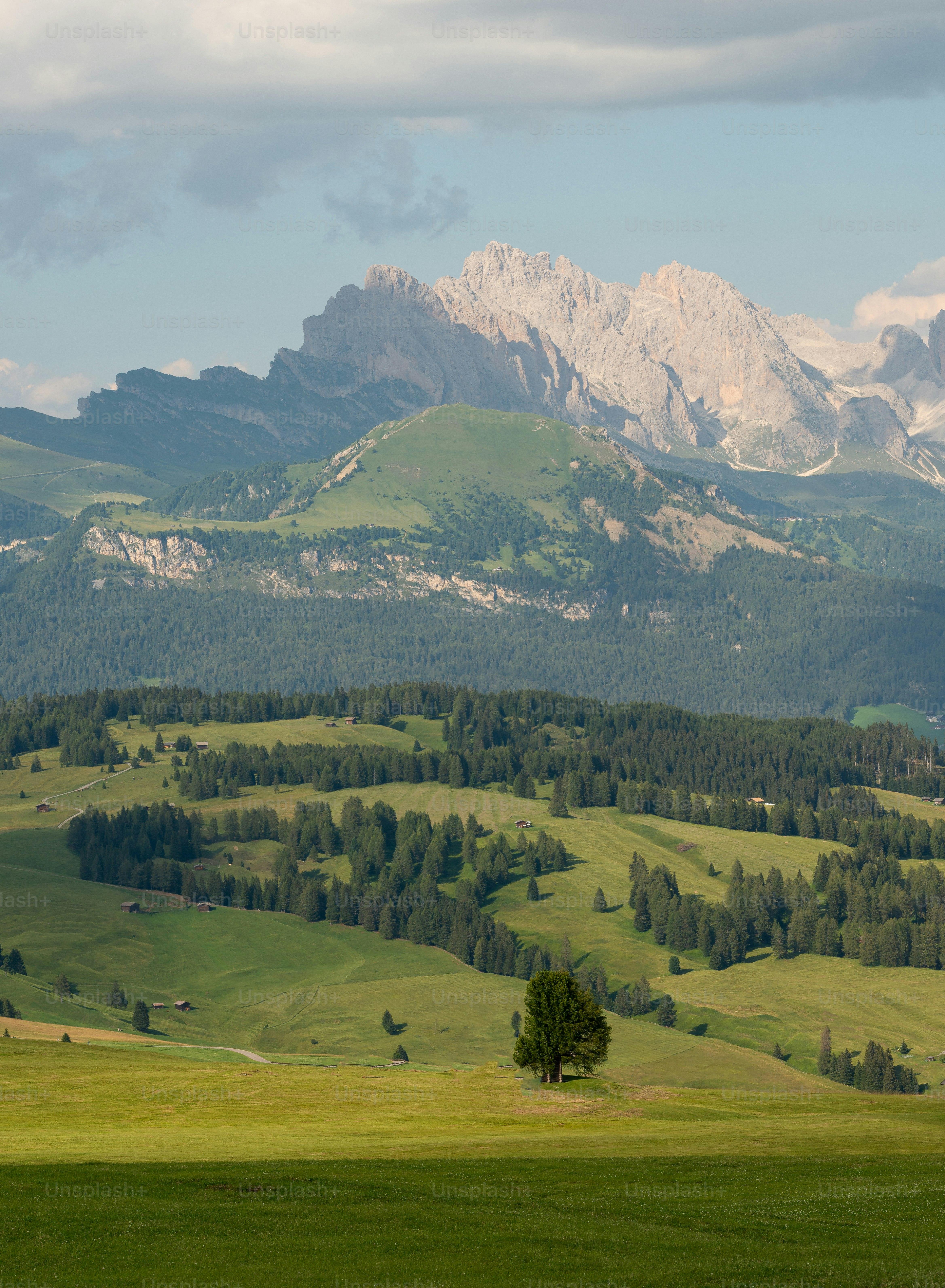 a green field with a mountain range in the background