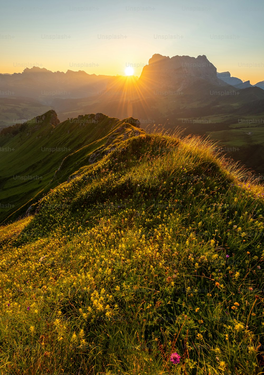 El sol se está poniendo sobre una colina cubierta de hierba