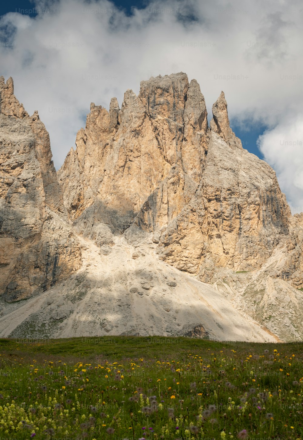 a mountain range with flowers in the foreground and clouds in the background