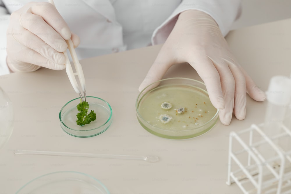 Una persona con bata blanca de laboratorio sosteniendo una sustancia verde
