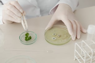 a person in white lab coat holding a green substance