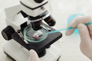 실험실 코트를 입은 사람이 현미경을 사용하여 무언가를 검사하고 있습니다.