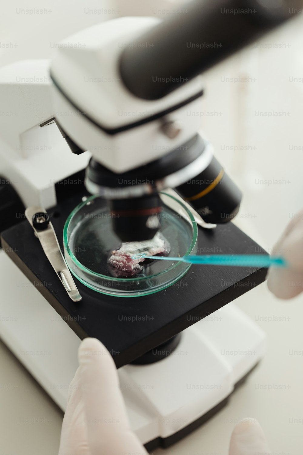 Eine Person in weißen Handschuhen benutzt ein Mikroskop