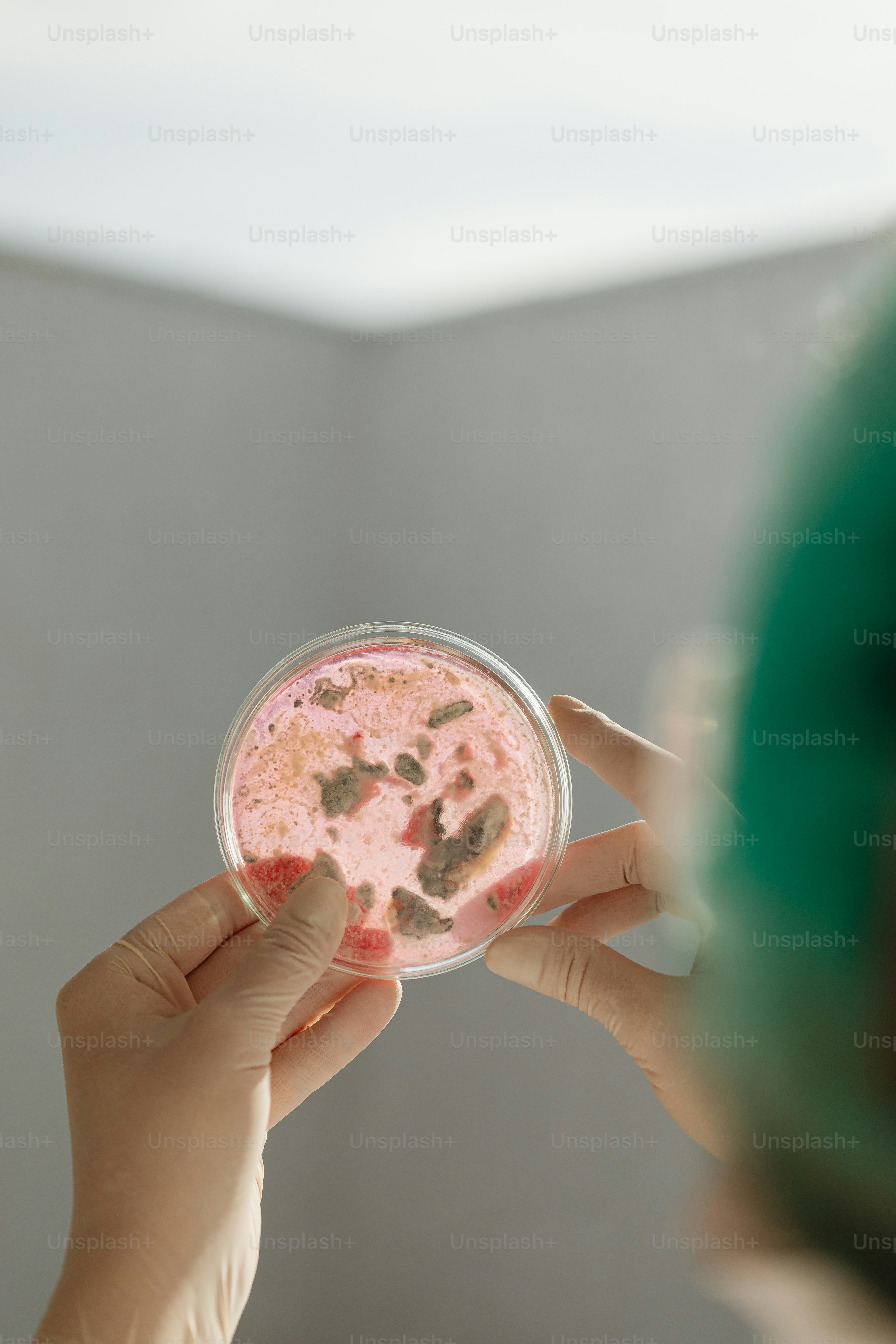 a person holding a petri dish of food