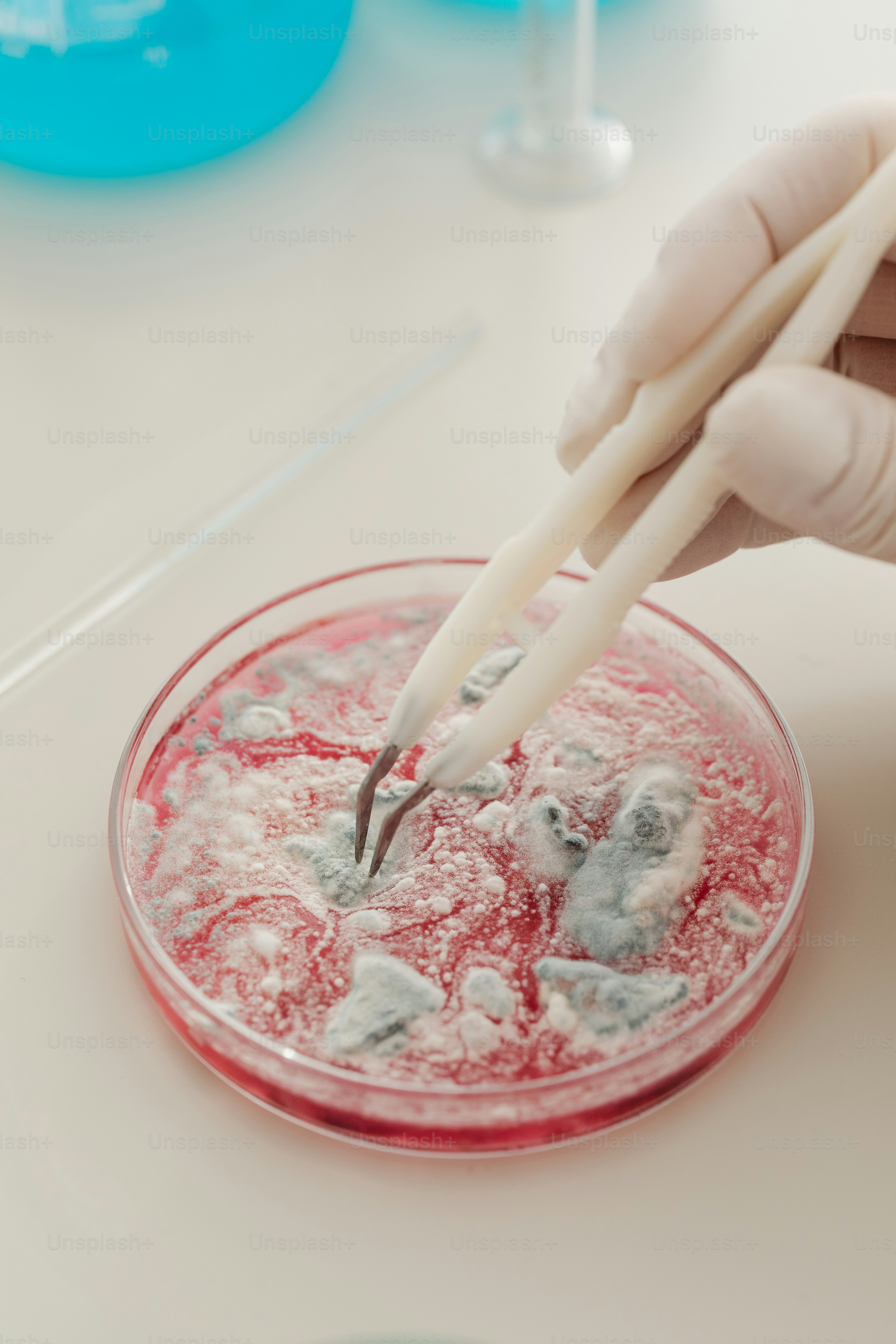 a person in a white glove holding a pair of scissors