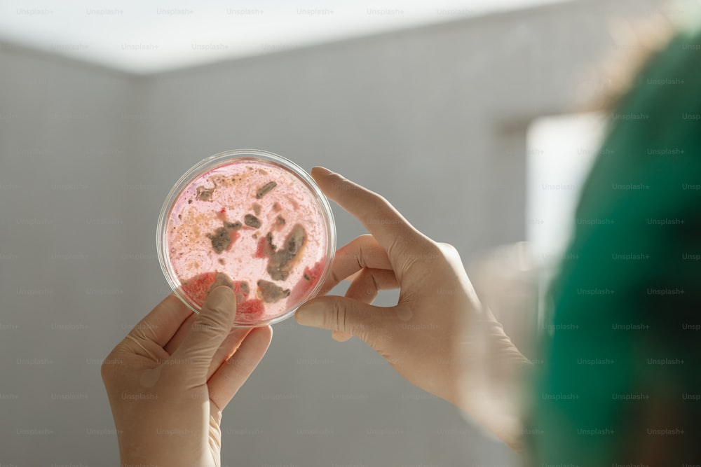 a person holding a petri dish with a lot of stuff on it