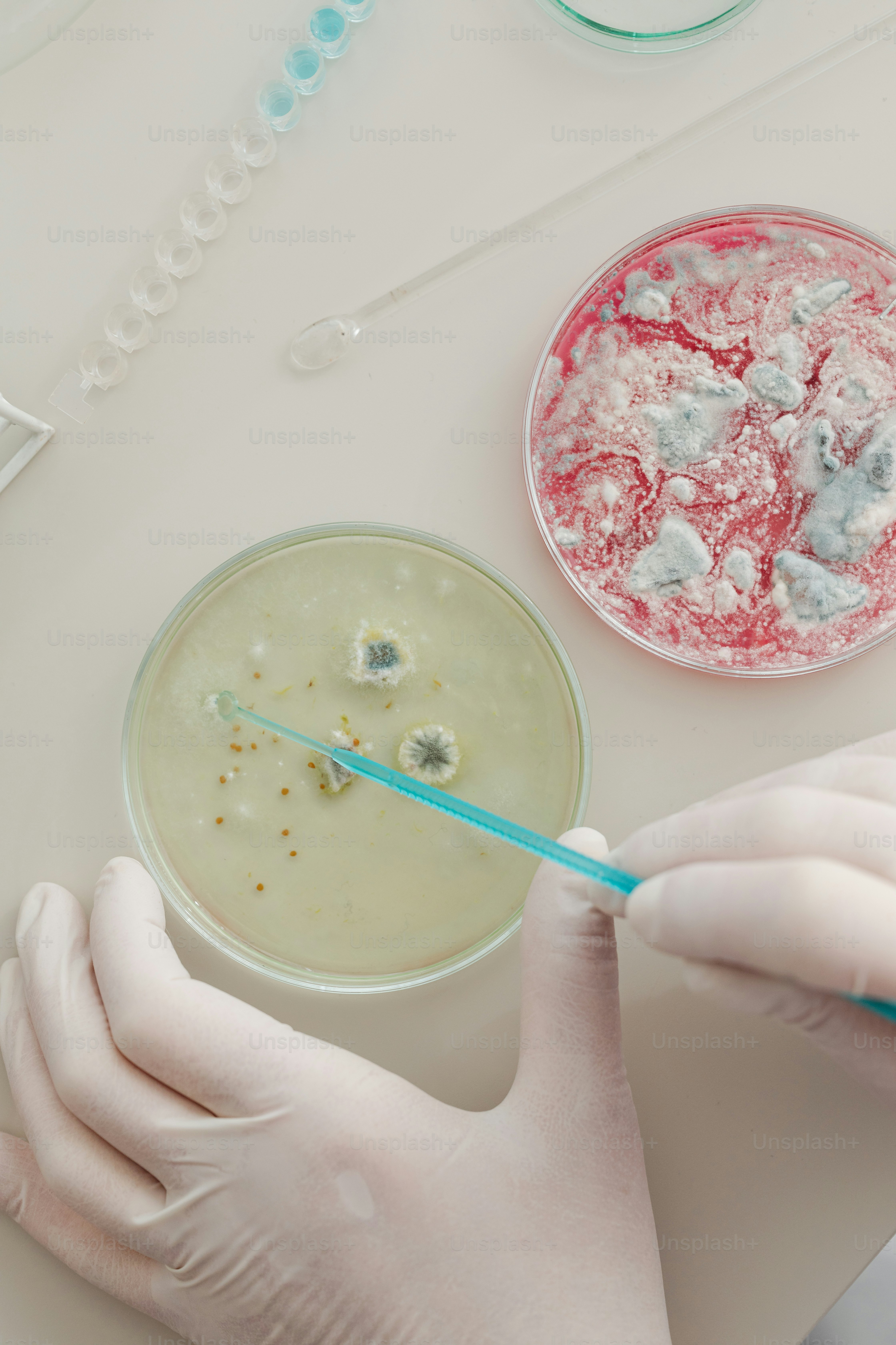 a person in white gloves holding a blue toothbrush