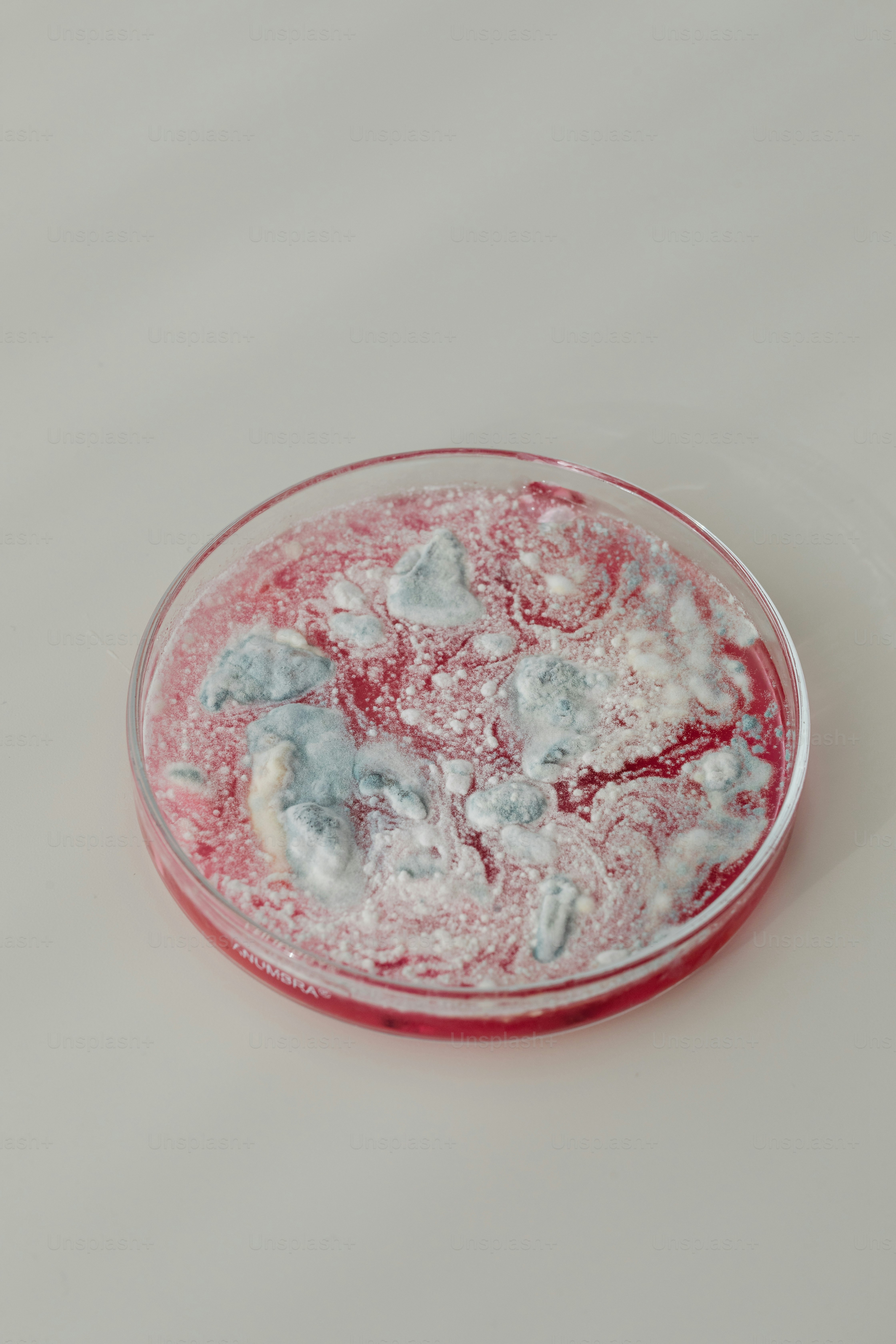 a red and white bowl of water on a white surface