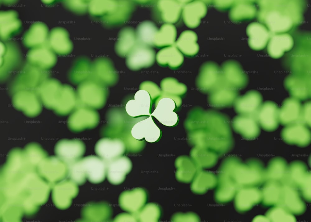 a group of four leaf clovers on a black background