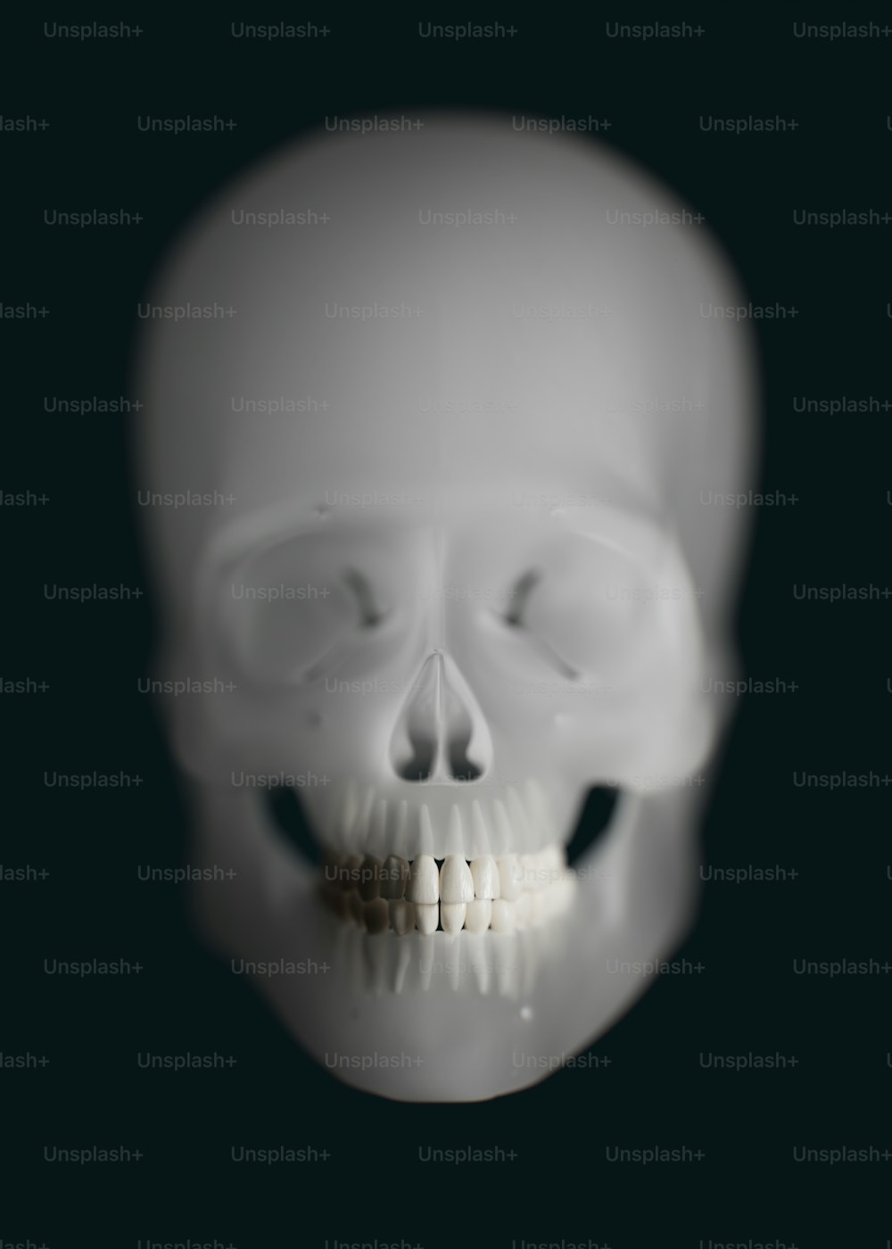 a white human skull with a missing tooth
