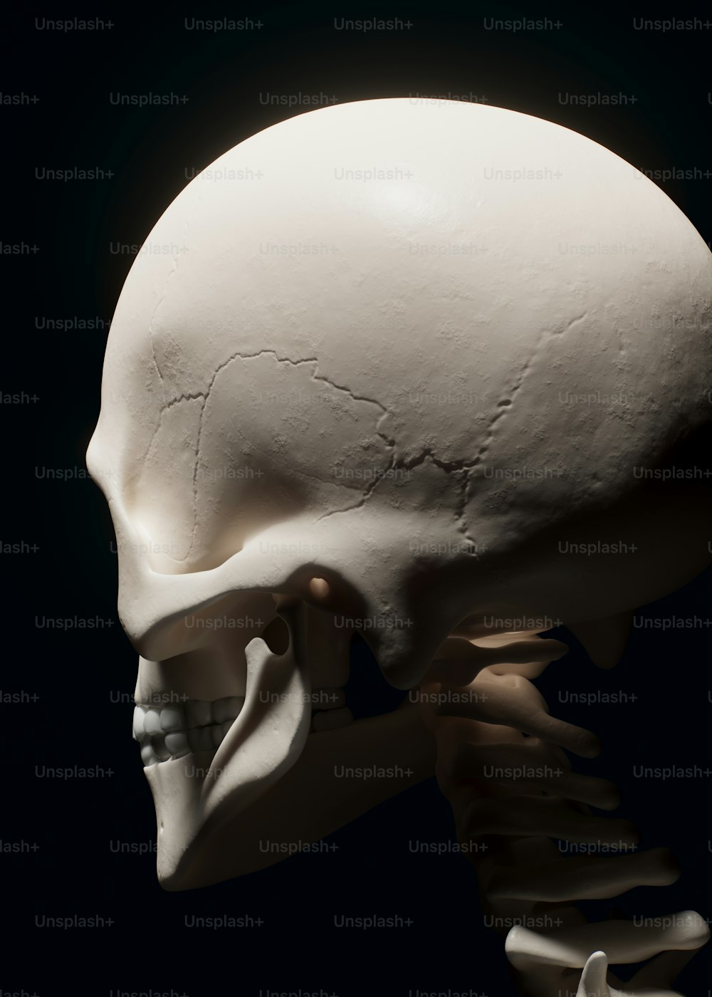 um crânio humano branco com um fundo preto
