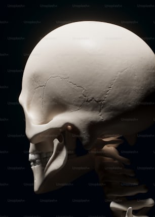 ein weißer menschlicher Schädel mit schwarzem Hintergrund