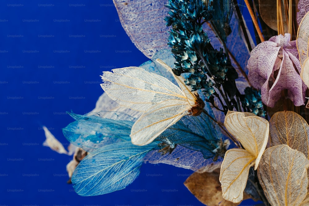 Un primo piano di un mazzo di fiori su uno sfondo blu