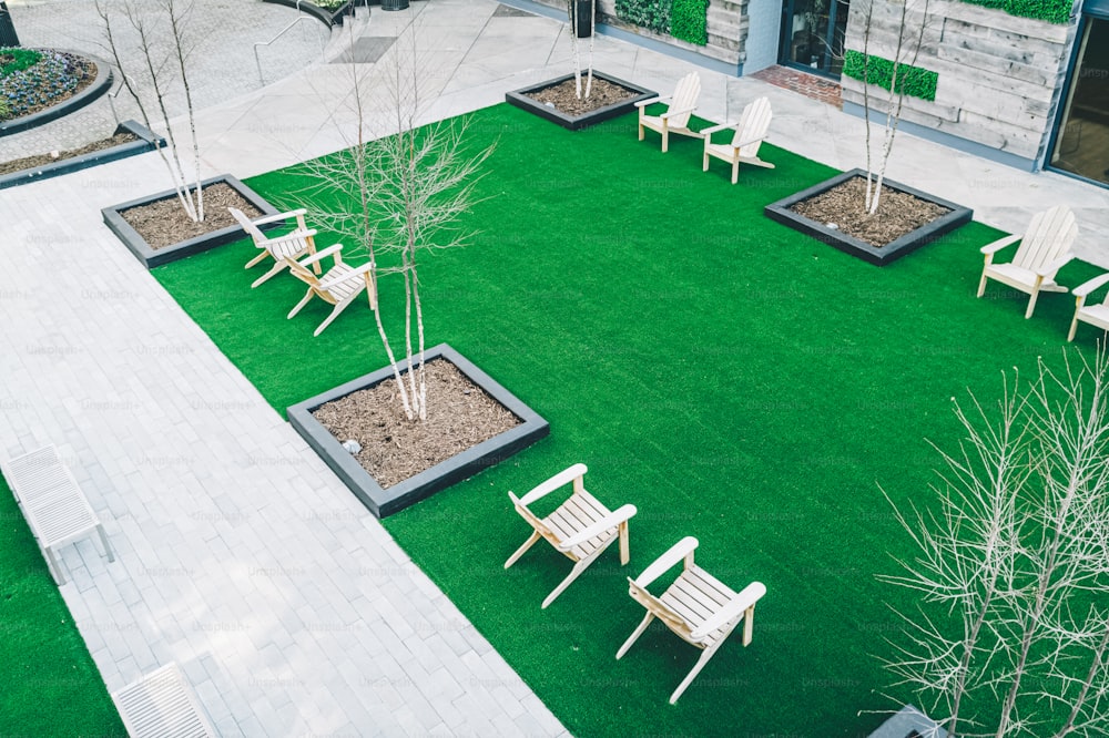 a lawn with chairs and trees in it