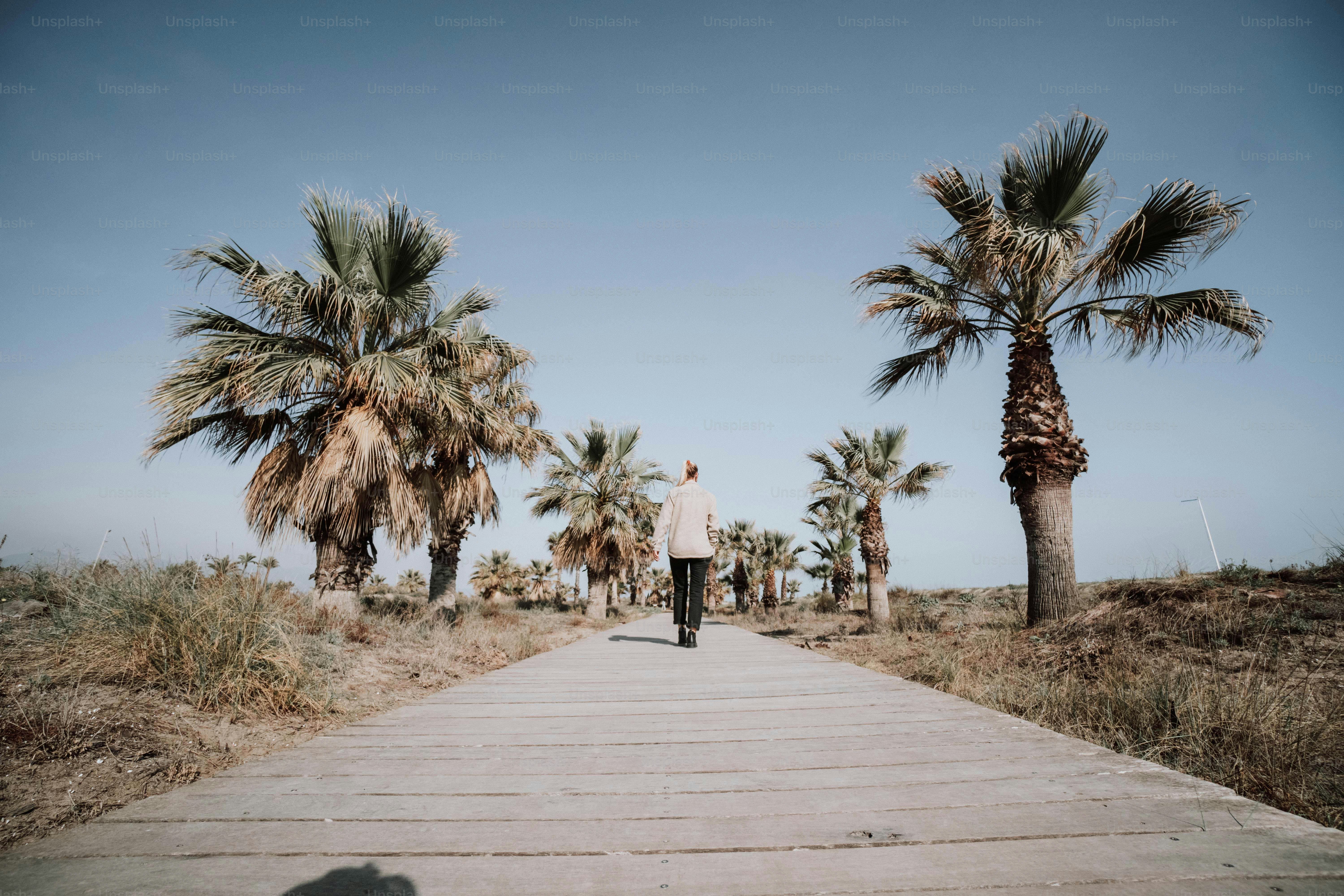 a man riding a skateboard down a wooden walkway
