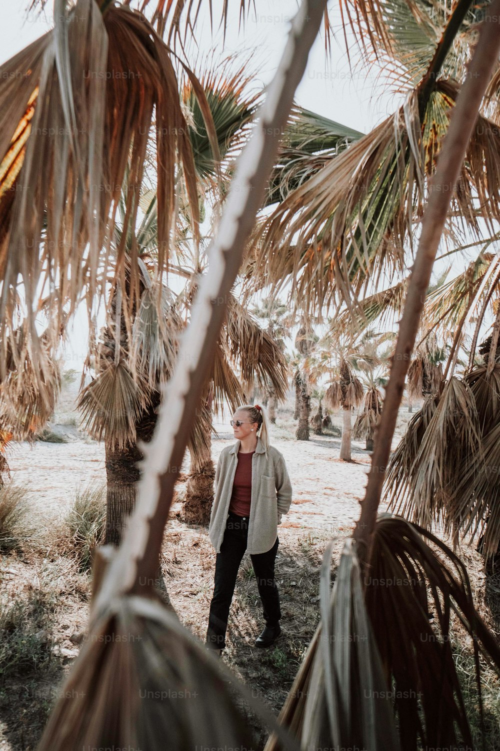a man standing under palm trees in a field