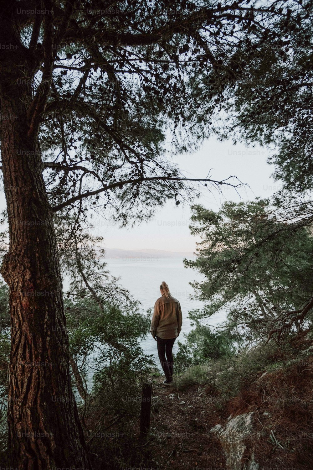 a person walking up a hill next to a tree