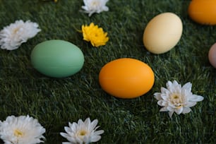 a group of eggs sitting on top of a lush green field